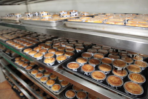 健康食品，用心经营 法浦芮食品科技新工厂正式开工生产